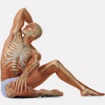 Workshops with Anne Cousin: Pre-Spinal patterns